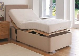 sleepkings electric adjustable bed